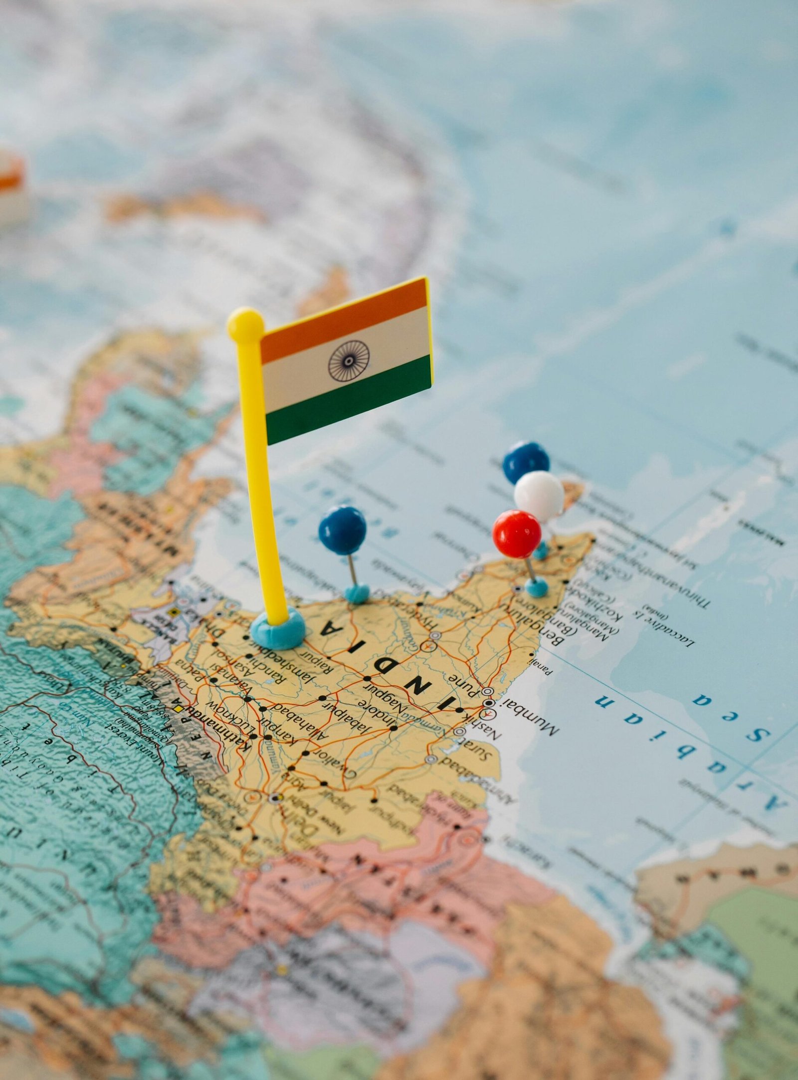 pexels lara jameson 8828354